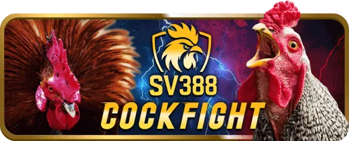 Nhập số tiền và xác nhận 8XBET